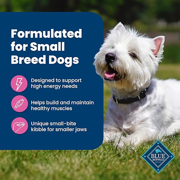 BLUE BUFFALO LIFE PROTECTION FORMULA ADULT SMALL BREED DRY DOG FOOD, SUPPORTS HIGH ENERGY NEEDS, MADE WITH NATURAL INGREDIENTS, CHICKEN & BROWN RICE RECIPE, 15-LB BAG