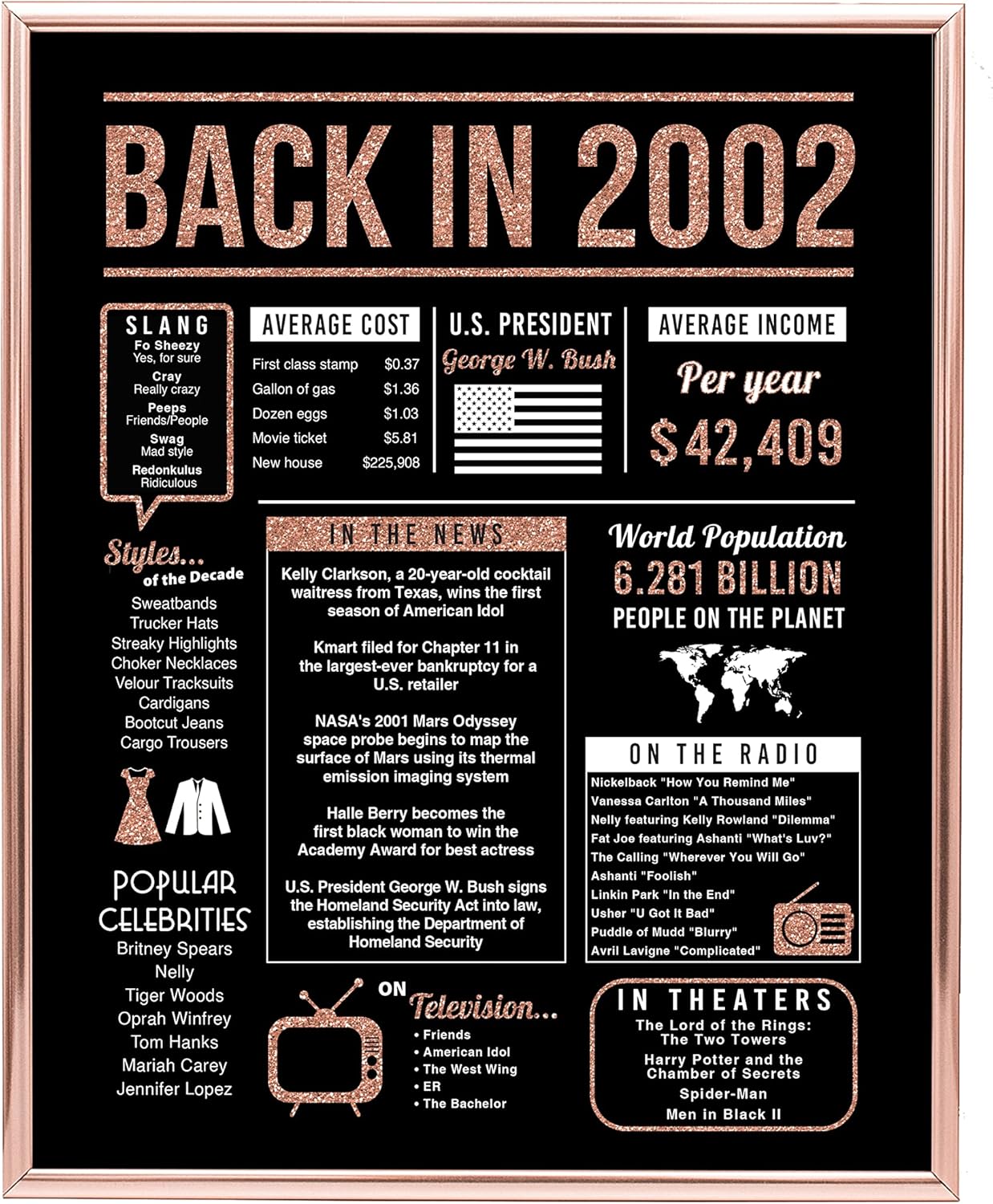 Wall Décor - Katie Doodle - 21st Birthday Decorations for Her - 21st Birthday Gifts for Her - 21 Birthday Decorations for Her - 21 Year Old Birthday Gifts for Her - 8x10 inch Back-in 2002 Sign (Unframed) Rose Gold