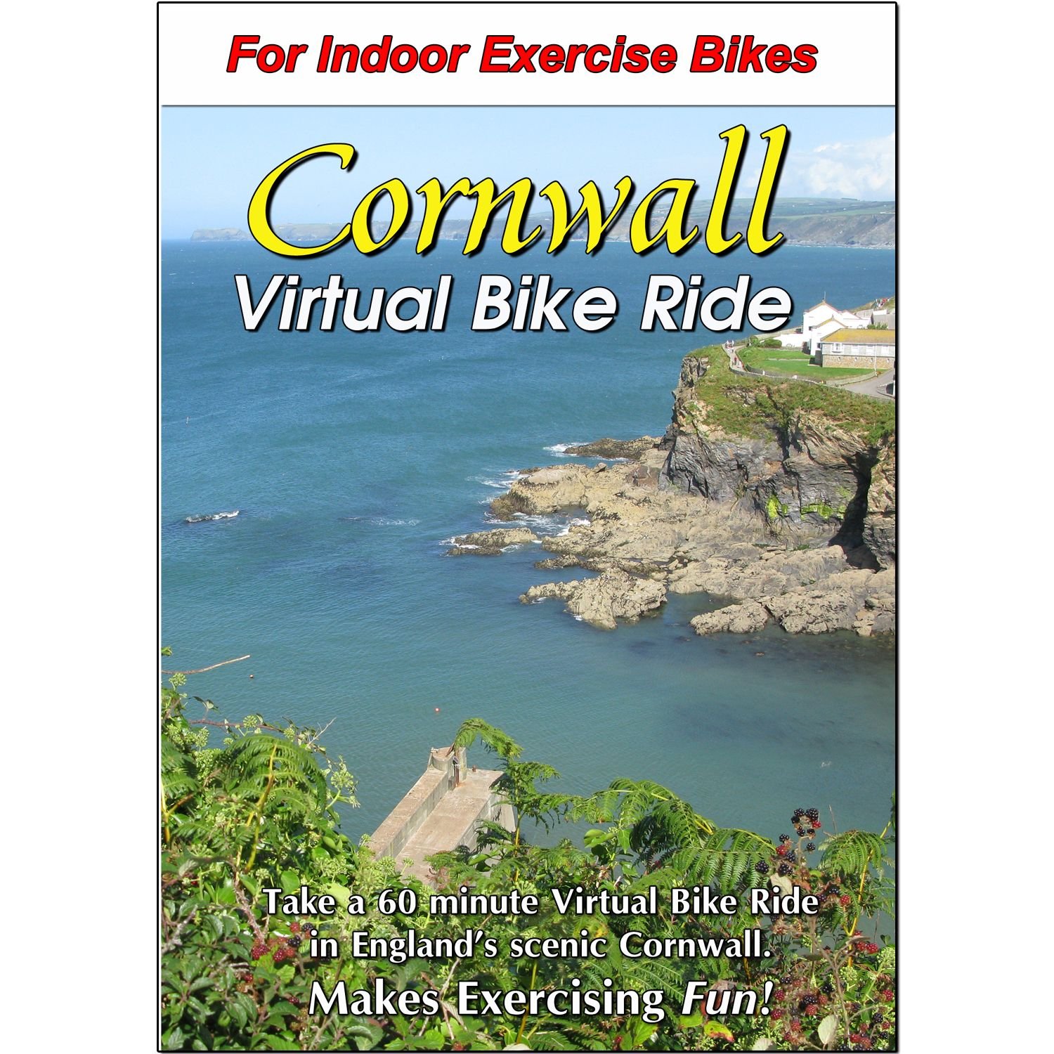 exercise bike virtual ride