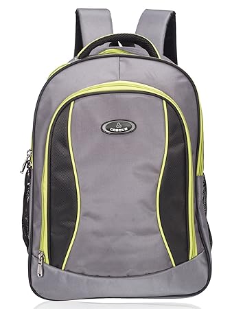 COSMUS Nylon 37 Ltr Grey School Backpack