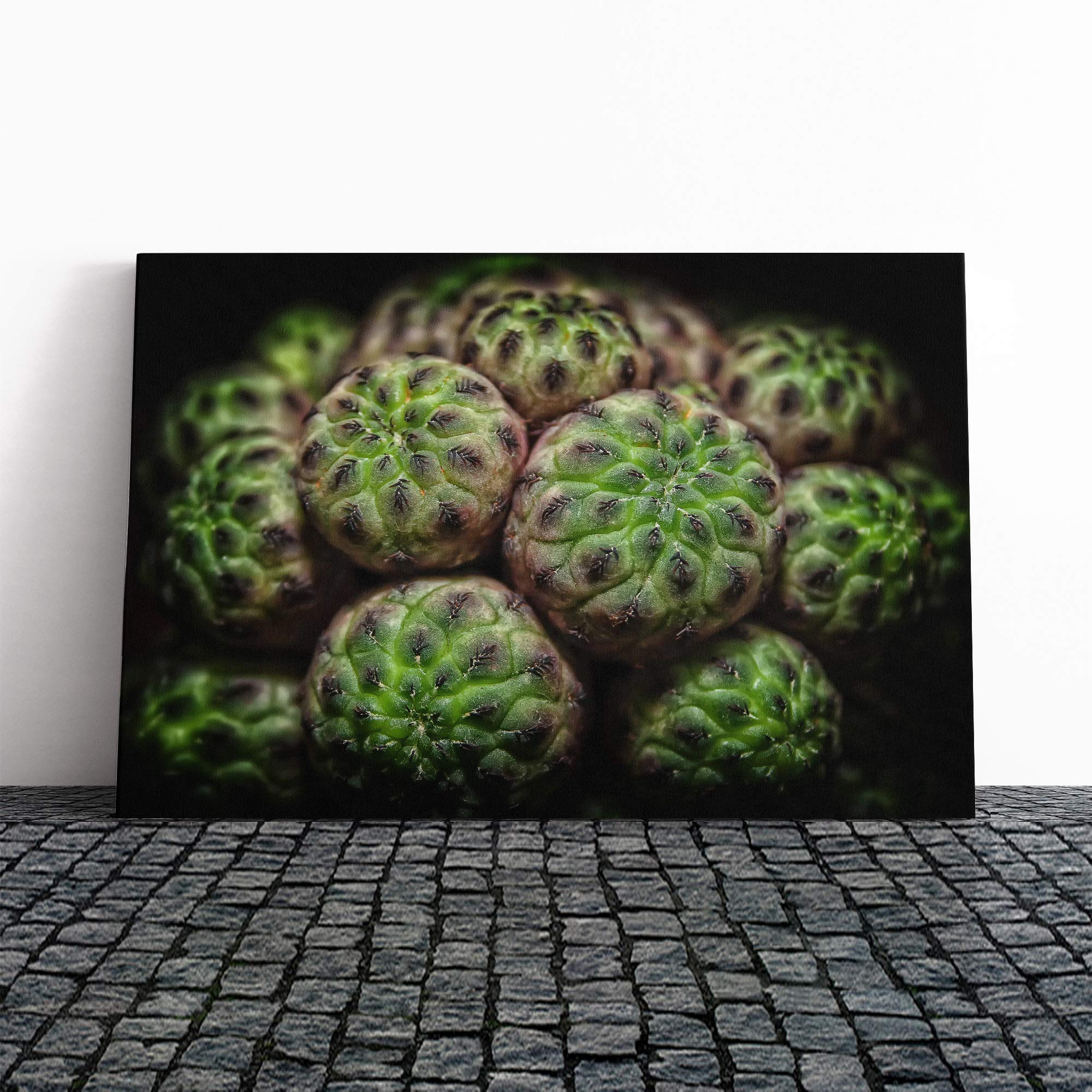 Green Cactus Canvas Print | Gallery Wrapped 30mm Frame Wall Art | 20x14 inches | Ready to Hang | Modern Floral Picture | Living Room Bedroom Lounge Office