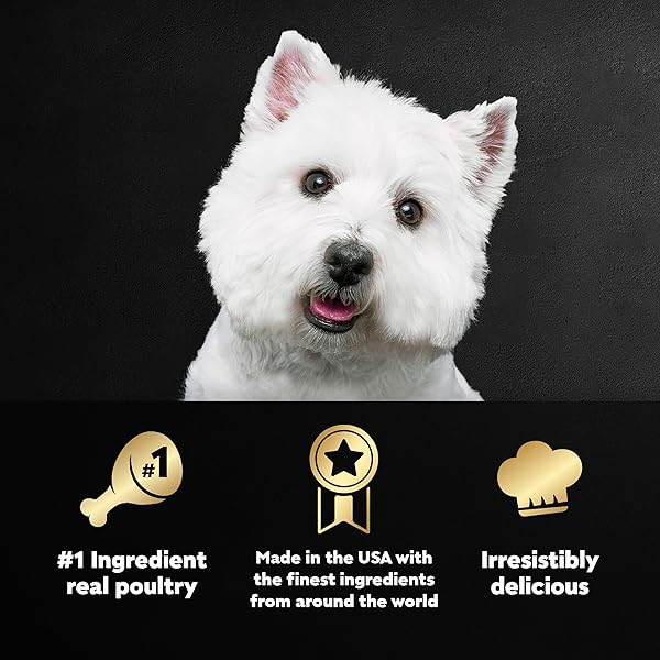 CESAR WET DOG FOOD CLASSIC LOAF IN SAUCE, DUCK RECIPE, OVEN ROASTED CHICKEN FLAVOR, GRILLED CHICKEN FLAVOR, AND TURKEY FLAVOR, 3.5 OZ. EASY PEEL TRAYS, VARIETY PACK, 24 COUNT
