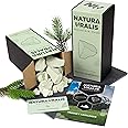 Natura Uralis Ural Green Clay | 17.5oz of Natural Green Clay, Pastel to Verdant Green - Amazing Crunch, Satisfying Earthy, Velvety and Firm Texture, ASMR Sensation