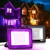 LOHAS Purple LED Flood Light