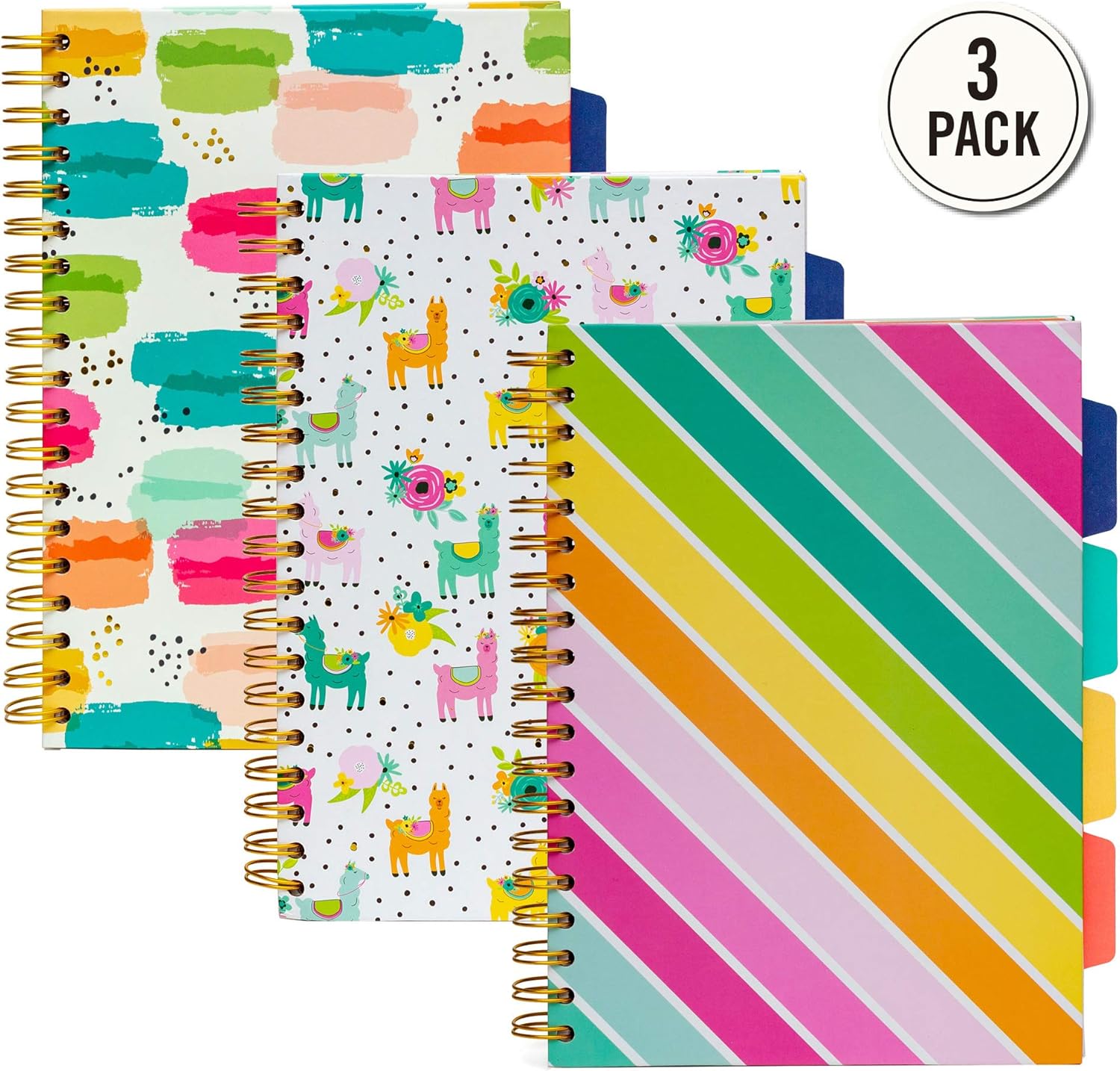 Pukka Pad, Carpe Diem 5-Project Double Spiral Bound Notebook 3-Pack with Repositionable Dividers - Image 3