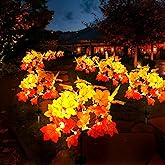 2Pack Fall Solar Lights Outdoor Decorative, Waterproof 40Led Orange Fall Lights with 80 Maple Leaves Path Lights, Solar Lights for Fall Autumn Patio Garden Halloween Thanksgiving Decorations