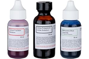 Economy Microscope Slide Staining Kit Includes 3 Stains