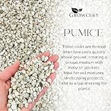Growcery Volcanic Pumice 3–8 mm Dust-Free 1L for Plants Bonsai Soil Mixes view 3