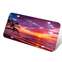 Sunset Tropical Beach with Palm Tree License