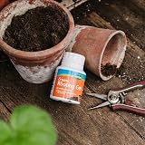 Westland Organic Rooting Powder 100 g for Cuttings view 3