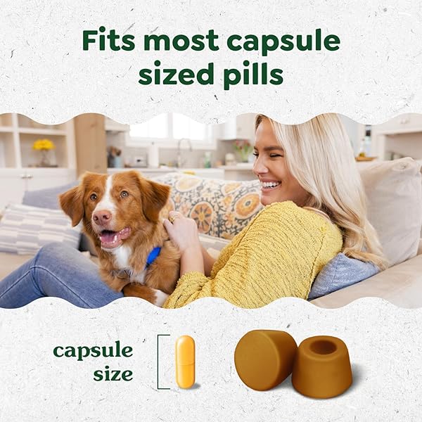GREENIES PILL POCKETS FOR DOGS LARGE SIZE, DOG TREAT POUCH FOR CAPSULE MEDICATION, PEANUT BUTTER FLAVOR, 15.8 OZ. POUCH