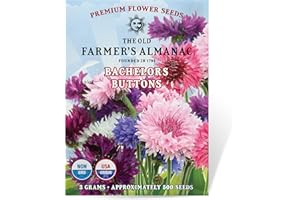 The Old Farmer's Almanac Bachelors Buttons Seeds - Approx 500 Flower Seeds - Non-GMO, Premium, Open Pollinated
