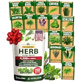 15 Culinary Herb Seeds - Heirloom &amp; Non GMO - High Germination Rate - Seeds for Planting Indoor Hydroponic or Outdoor Herbs Garden | Gardening Gift Men Women Gardeners - Basil, Cilantro, Mint