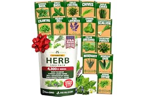 15 Culinary Herb Seeds - Heirloom & Non GMO - High Germination Rate - Seeds for Planting Indoor Hydroponic or Outdoor Herbs G