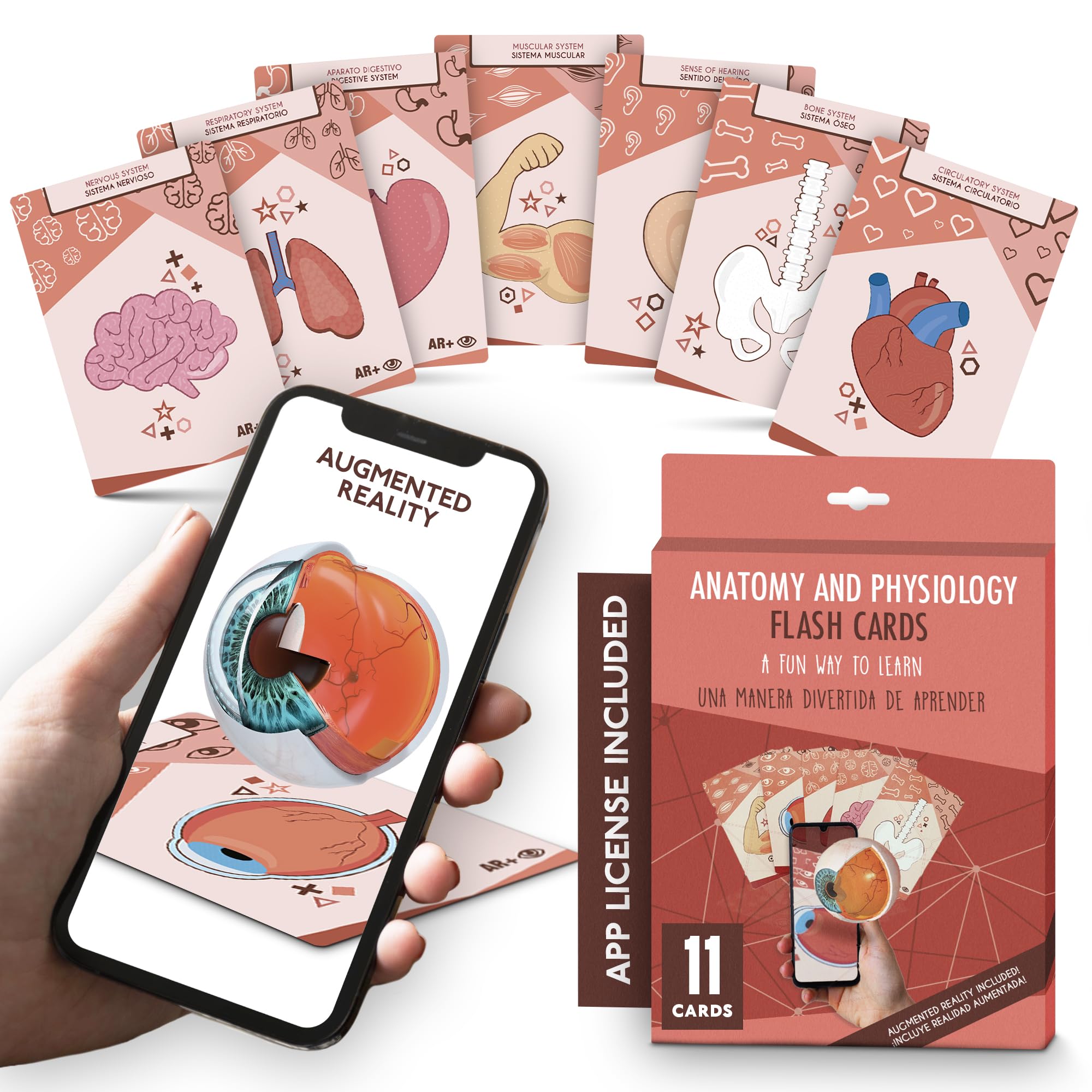 AR+ Body Planet: Body cards, cards with augmented reality