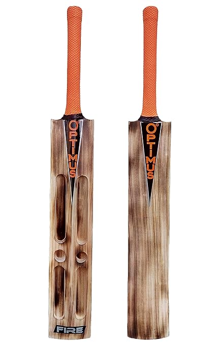 kashmir willow scoop bat
