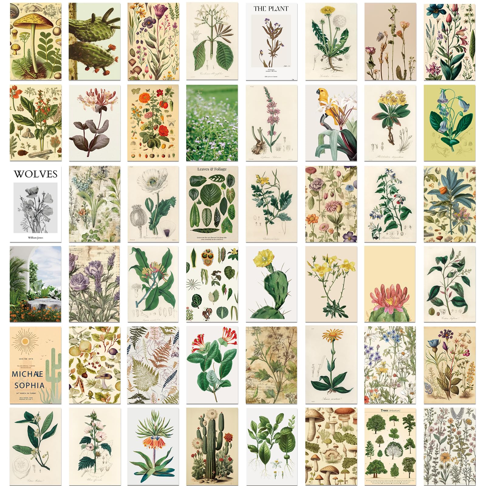 50 Pcs Botanical Postcards - Floral Landscape Art Cards for Wall Decor, Scrapbooking, Greetings, Invitations & Home Decoration Vintage Fresh Style