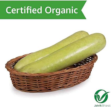 Fresh Organic Bottle Gourd, 1 Piece