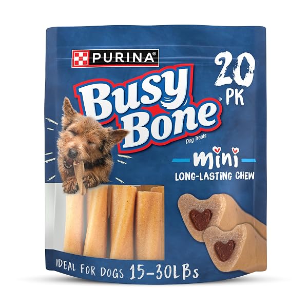 PURINA BUSY BONE SMALL BREED ADULT DOG CHEW BONE TREATS, MINI – 20 CT. POUCH