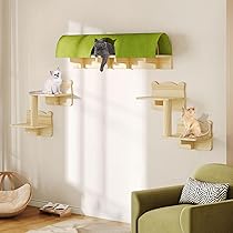Amazon.com : Homiflex Cat Wall Shelves and Perches, Solid