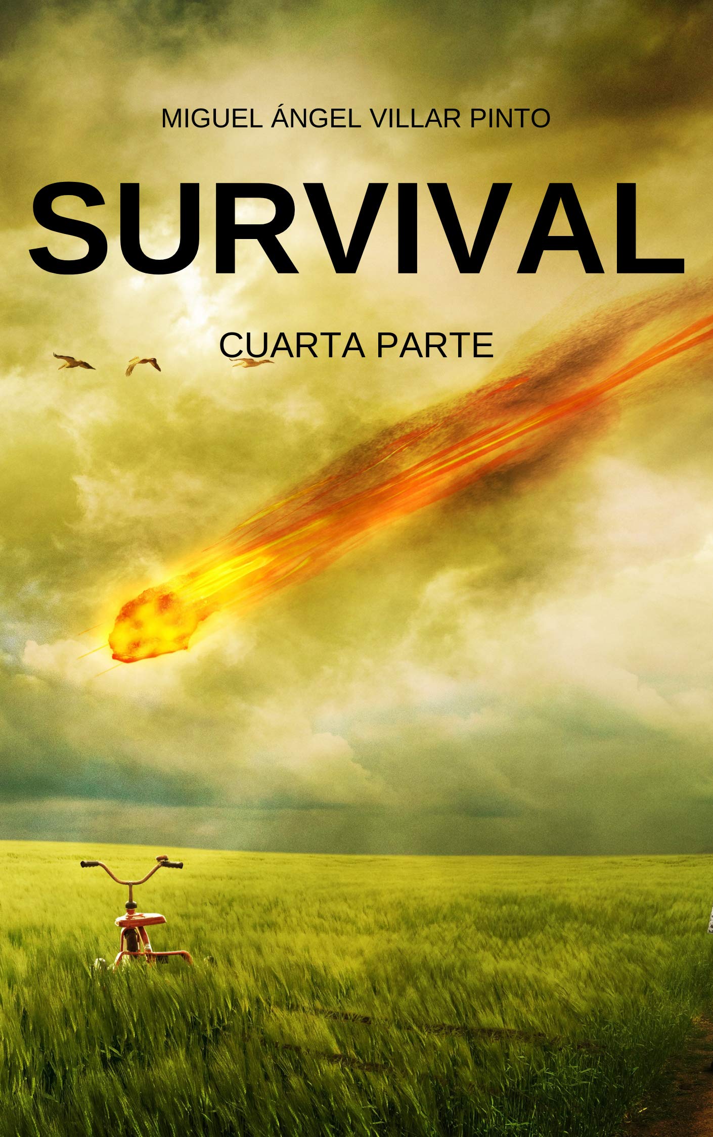 Survival: Cuarta Parte (Spanish Edition) Survival: Cuarta Parte (Spanish Edition) Kindle (Digital)