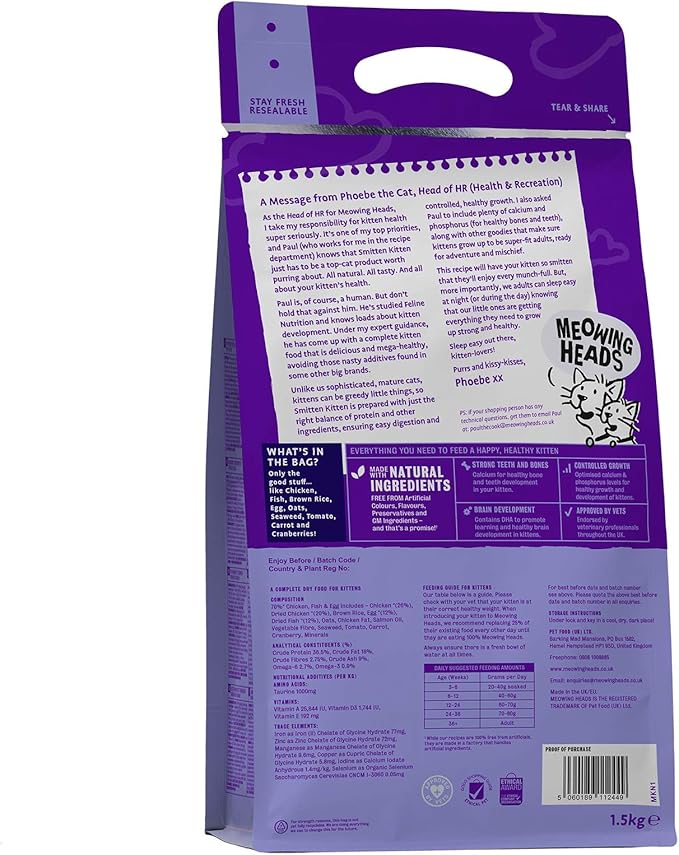 meowing heads kitten