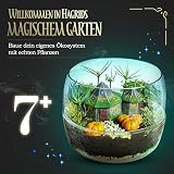 Clementoni Harry Potter Terrarium Kit | Build Magical Greenhouse | Science Toy view 2