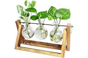Ivolador I Plant Propagation Station, Bulb Plant Terrarium with Wooden Stand, Unique Gardening Gifts for Women, Hydroponic Indoor Planter, Home Office Garden Wedding Decor - 3 Bulb Glass Vases