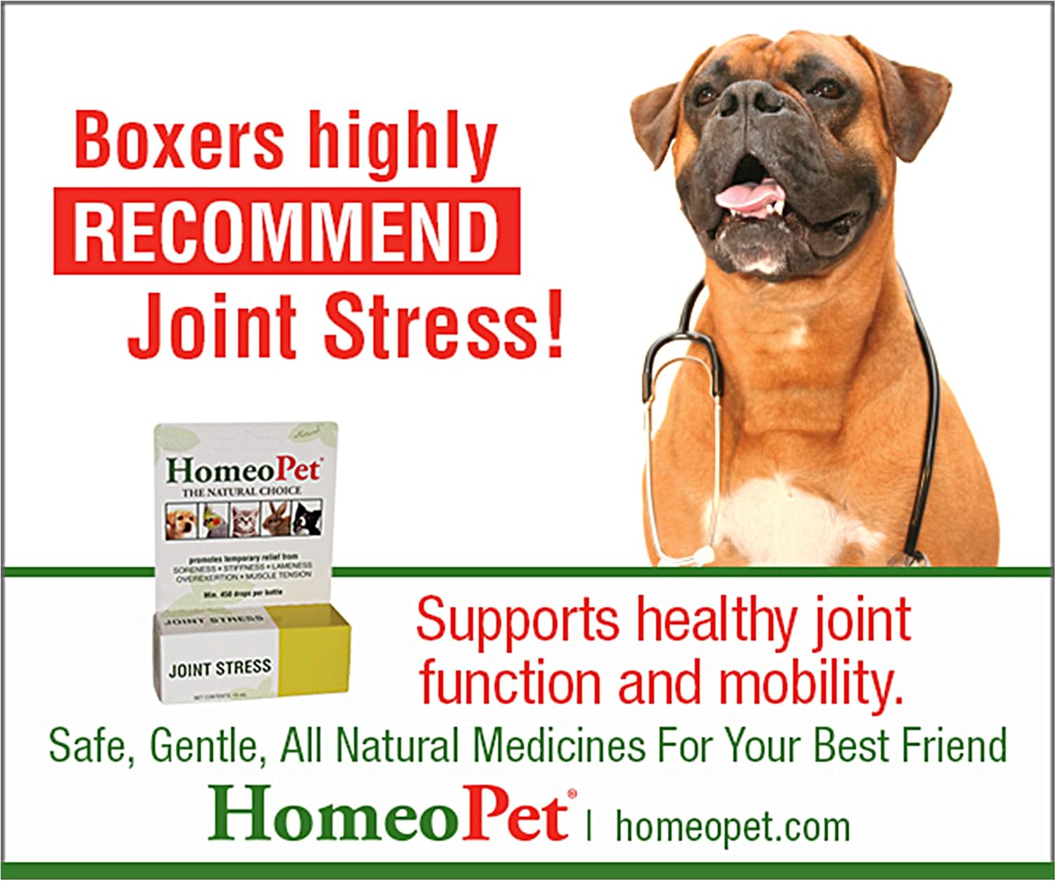 HomeoPet Joint Stress, Joint Support for Dogs and Cats Liquid Pet Meds to Support Healthy Joint Movement, 15 Milliliters - Image 4