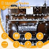 Ollny Christmas Tree Lights 10m 100 LED Remote IP44 Warm White view 3