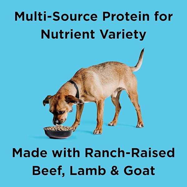 BIXBI LIBERTY GRAIN FRIENDLY DRY DOG FOOD, RANCHER’S RED RECIPE, 4 LBS – FRESH MEAT, NO MEAT MEAL, NO FILLERS – NO SOY, CORN, RICE OR WHEAT FOR EASY DIGESTION – USA MADE