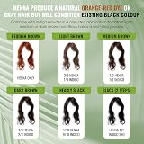 Davis Finest Organic Henna Powder 500g PPD-Free Hair Dye Natural Plant Based view 5