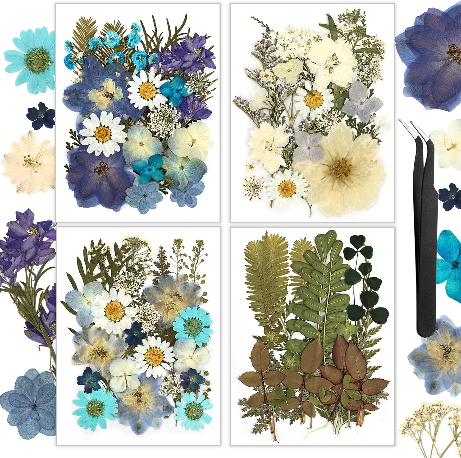 Dried & Preserved Flora - Resiners 100Pcs Dried Pressed Flowers for Resin Molds, Blue Real Natural Dried Flowers Dry Leaves kit for Scrapbook Supplies Card Making Resin Jewelry Making Soap Candle DIY Crafts