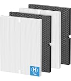 PETOX Filtro Ricambio H Per Winix 5500-2 E AM80 - 2 Filtri HEPA True H13 + 2 Carboni Attivi