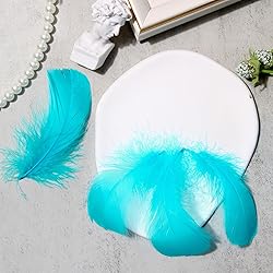300pcs Turquoise Feathers 2-3 Inches Bulk Feathers