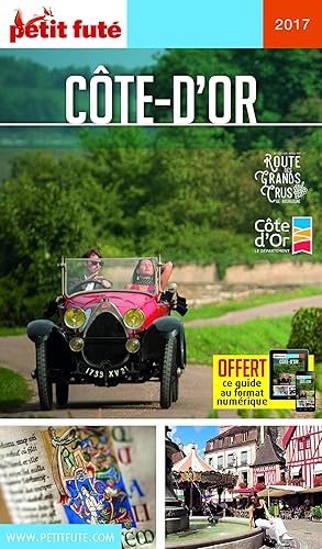 Download Guide Côte d'Or 2017-2018 Petit Futé PDF