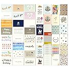 144 Pack Assorted All Occasion Greeting Cards – Includes Birthday, Graduation, Baby Shower and Sympathy Cards, 48 Various Designs - Bulk Box Set Variety Pack with Envelopes Included, 4 x 6 Inches