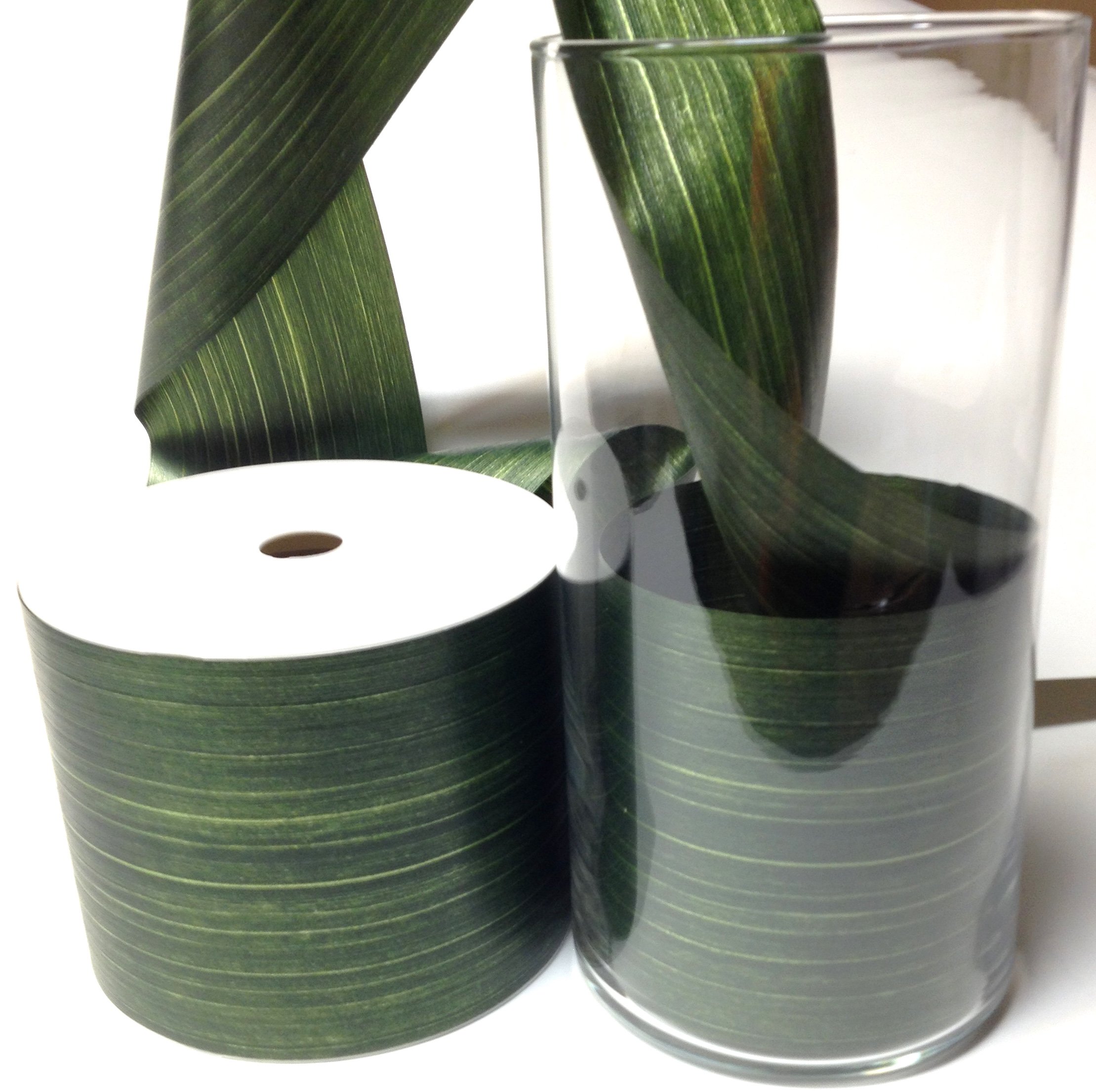 Aspid Ribbon Matte Moss Green. 4'' X 45 Yard by Import