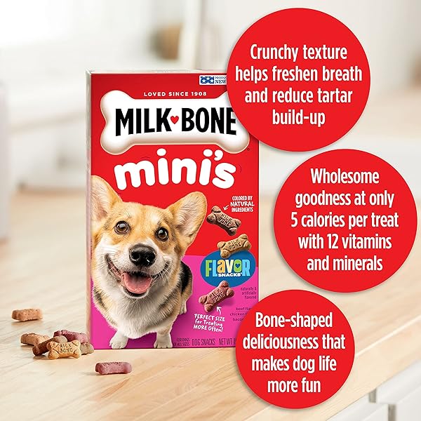 MILK-BONE FLAVOR SNACKS MINI’S DOG BISCUITS, FLAVORED CRUNCHY DOG TREATS, 36 OZ. CANISTER