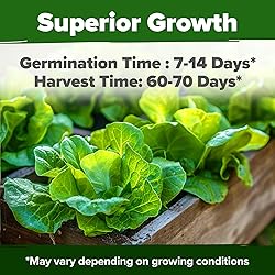 HOME GROWN