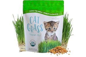 HANDY PANTRY Organic Cat Grass Seeds – Non-GMO Hard Red Wheatgrass Seeds for Cats, Dogs, Rabbits – Grows in Cat Grass Kits – 12 oz