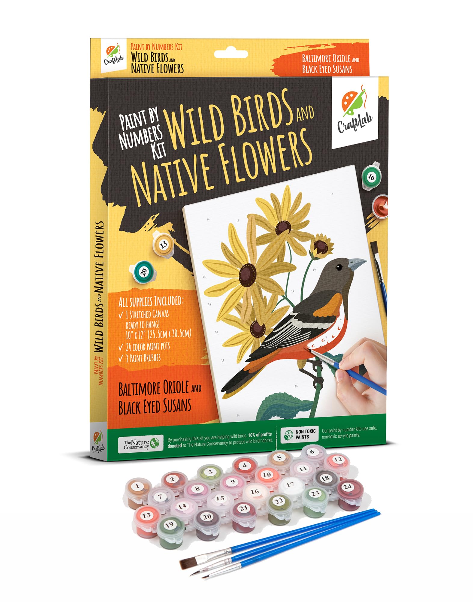 CraftLab Paint by Numbers Kit for Adults Teens Beginners, DIY Painting Accessories, Brushes Acrylic Paints, Stretched Canvas 10 x 12 inch Gift (Baltimore Oriole & Black Eyed Susans)