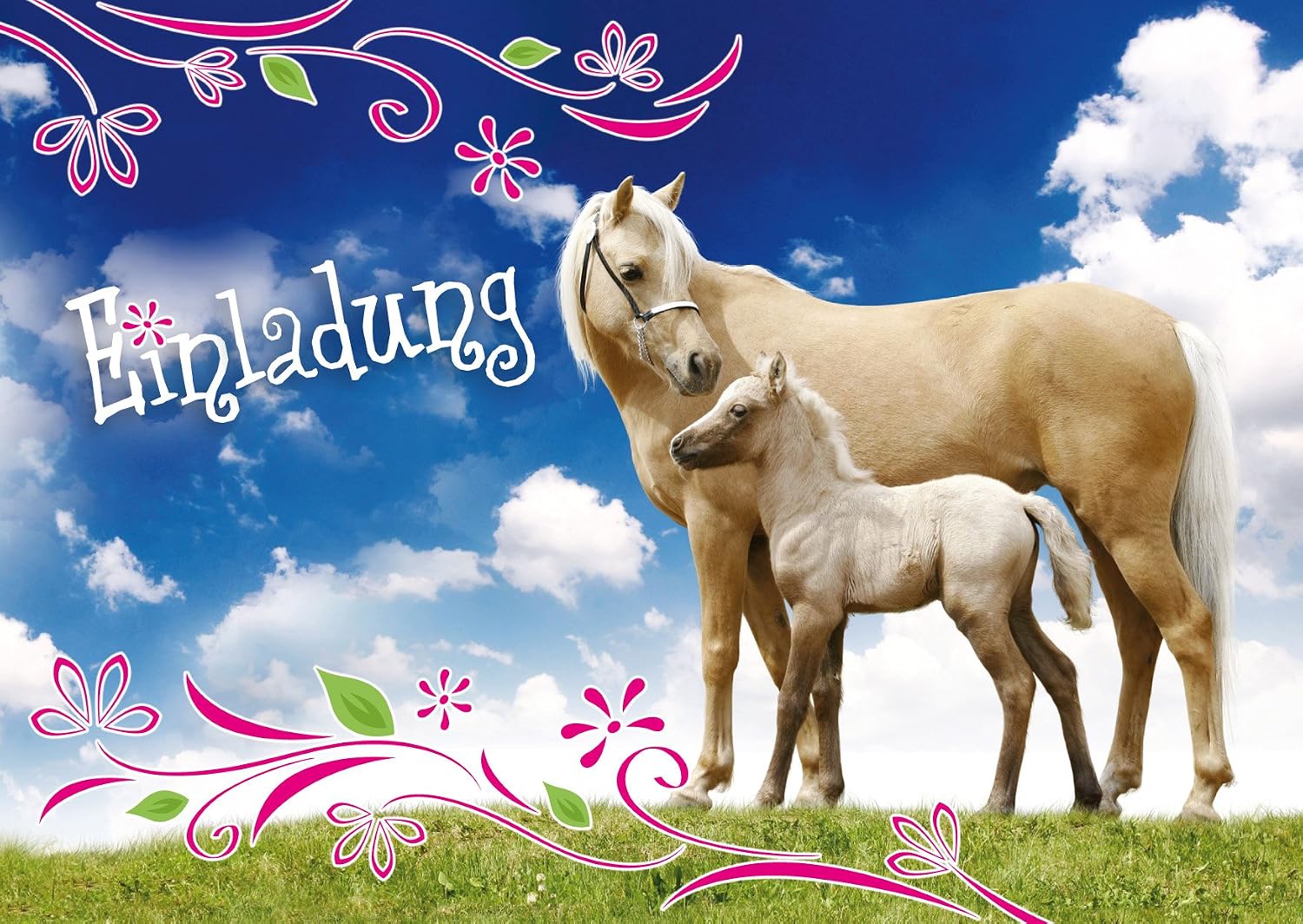 Edition Colibri (10780) 12 Horse Invitations (Set 3) Set of 12 Kid’s Birthday Party Invitations