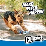 Chuckit Ultra Squeaker Ball 2 Pack Pet Toy Beep Natural Rubber view 7