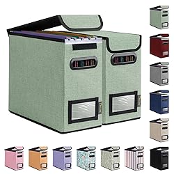 BALEINE File Organizer Box with Lid, Collapsible