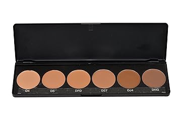 Star's Cosmetics Derma Foundation Color Pallate