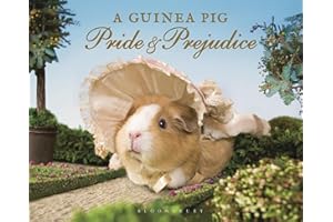 A Guinea Pig Pride & Prejudice