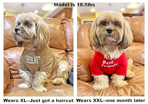 Cute Dog Clothes,Dog T Shirt for Medium Clothes for Small