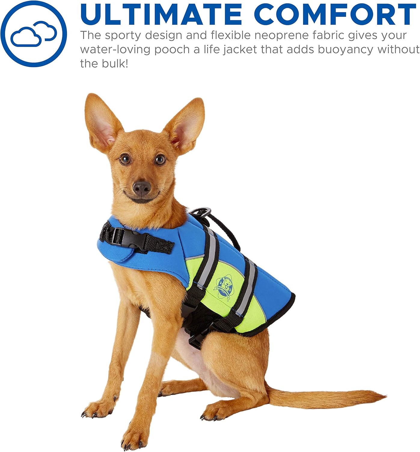 great dane life jacket