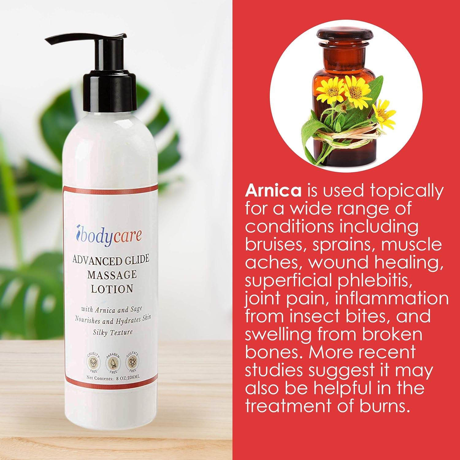 ibodycare Advanced Glide Massage Lotion for Massage Therapy, Cream Lotion, with Arnica and Sage, Nourish and Hydrate Skin, Silky Texture (8-oz) : Beauty